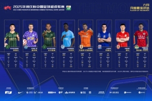 中超6月最佳候选:克雷桑、马莱莱、米特里策、陶强龙等8人入围